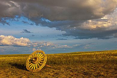 还没开始做？《最后的生还者》配音演员称尚未收到第三部的剧本